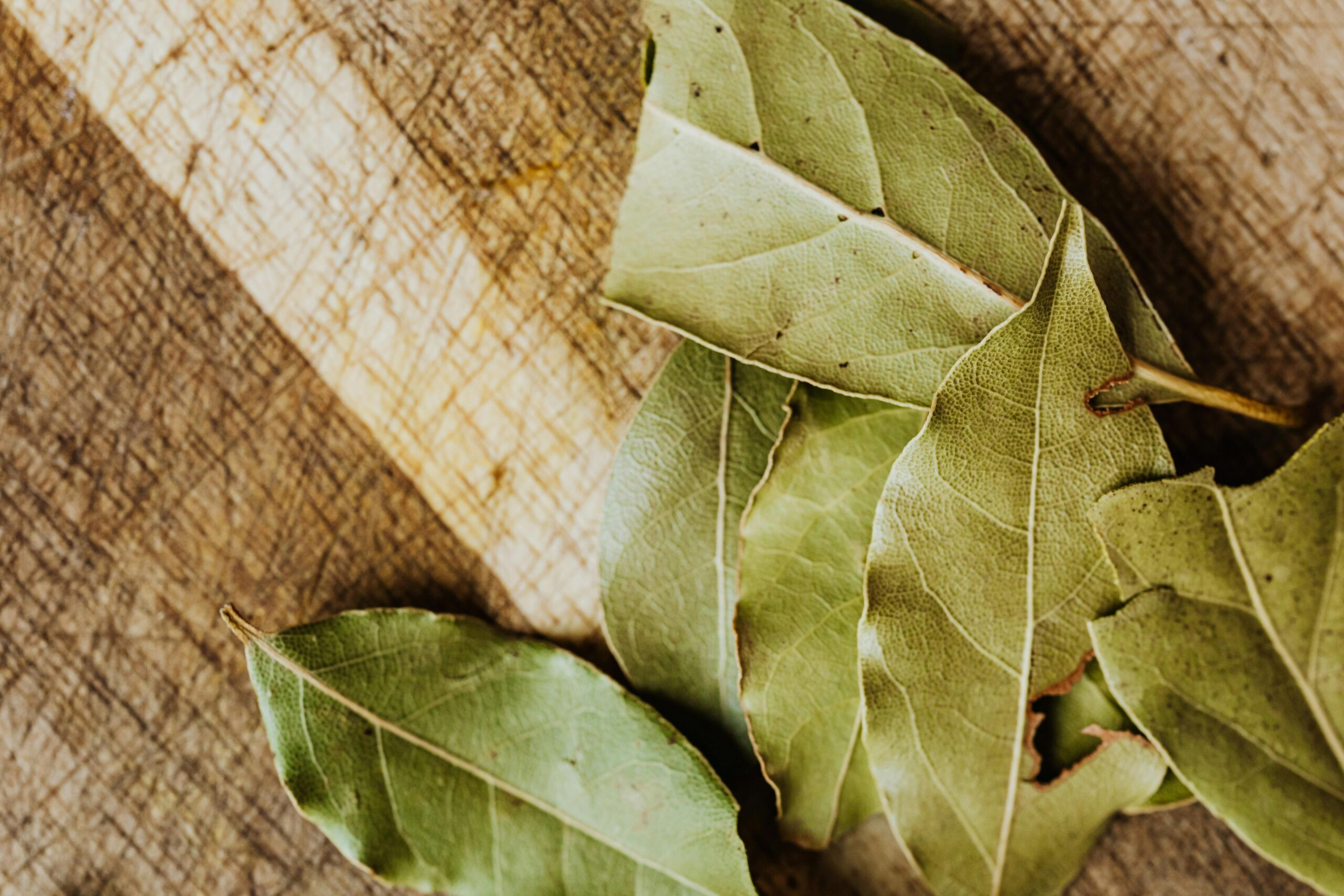 how to manifest with bay leaves